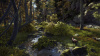 Превью изображения 5: Way of the Hunter Elite Edition
