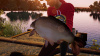 Превью изображения 1: Fishing Sim World: Pro Tour - Gigantica Road Lake