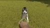 Превью изображения 4: House Flipper Pets DLC