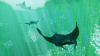 Превью изображения 3: ABZU - Standard Edition