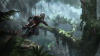 Превью изображения 3: Assassins Creed IV Black Flag. Special Edition