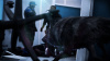 Превью изображения 2: Werewolf: The Apocalypse - Earthblood