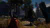 Превью изображения 5: Through the Woods