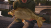 Превью изображения 2: Fishing Sim World: Quad Lake Pass