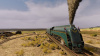 Превью изображения 4: Railway Empire - Down Under