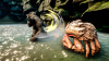 Превью изображения 1: Skull Island: Rise of Kong
