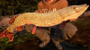 Превью изображения 5: Fishing Sim World: Quad Lake Pass