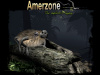 Превью изображения 1: Amerzone: The Explorer’s Legacy