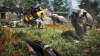 Превью изображения 4: Far Cry 4 Season Pass