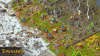 Превью изображения 3: Townsmen - A Kingdom Rebuilt