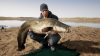 Превью изображения 3: Fishing Sim World: Pro Tour - Lago Del Mundo