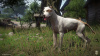 Превью изображения 1: Kingdom Come: Deliverance - A Woman's Lot