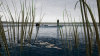Превью изображения 4: Fishing Sim World: Pro Tour - Lake Dylan
