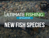 Превью изображения 0: Ultimate Fishing Simulator - New Fish Species