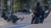 Превью изображения 3: Sledders