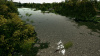 Превью изображения 1: Ultimate Fishing Simulator - Taupo Lake