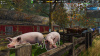 Превью изображения 1: Cafe Owner Simulator - Farm DLC
