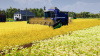 Превью изображения 1: Farm Manager 2021
