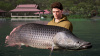 Превью изображения 3: Fishing Sim World: Pro Tour - Giant Carp Pack