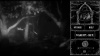 Превью изображения 2: Daemonologie