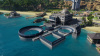 Превью изображения 1: Tropico 6 - Tropican Shores