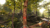 Превью изображения 1: Forest Ranger Simulator (Ранний доступ)