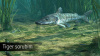 Превью изображения 4: Ultimate Fishing Simulator - Amazon River