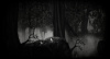 Превью изображения 1: Dream Alone