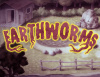 Превью изображения 0: Earthworms
