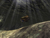 Превью изображения 5: AquaNox 2: Revelation