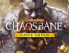 Превью изображения 0: Warhammer: Chaosbane Slayer Edition