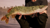 Превью изображения 5: Fishing Sim World Deluxe Edition