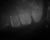 Превью изображения 4: Daemonologie