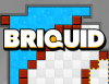 Превью изображения 0: Briquid