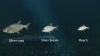 Превью изображения 2: Ultimate Fishing Simulator - New Fish Species