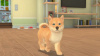 Превью изображения 1: My Universe - Puppies & Kittens