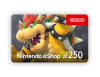 Превью изображения 0: Карта оплаты Nintendo eShop 250 zl Poland [Цифровая версия]