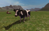 Превью изображения 4: Farming Simulator 2011