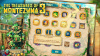 Превью изображения 3: The Treasures of Montezuma 3