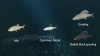 Превью изображения 3: Ultimate Fishing Simulator - New Fish Species