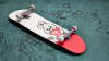 Превью изображения 1: Session: Skate Sim Brandalised Pack