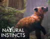 Превью изображения 0: Natural Instincts: European Forest (Ранний доступ)