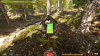 Превью изображения 2: Forest Ranger Simulator (Ранний доступ)