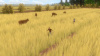 Превью изображения 3: Forgotten Fields