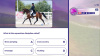 Превью изображения 5: Equestrian Training