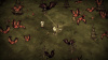 Превью изображения 4: Don't Starve Together (Версия для СНГ [ Кроме РФ и РБ ])