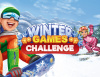 Превью изображения 0: Winter Games Challenge