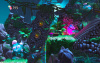 Превью изображения 4: Giana Sisters: Twisted Dreams - Rise of the Owlverlord