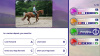 Превью изображения 2: Equestrian Training