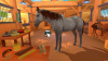 Превью изображения 3: Equestrian Training